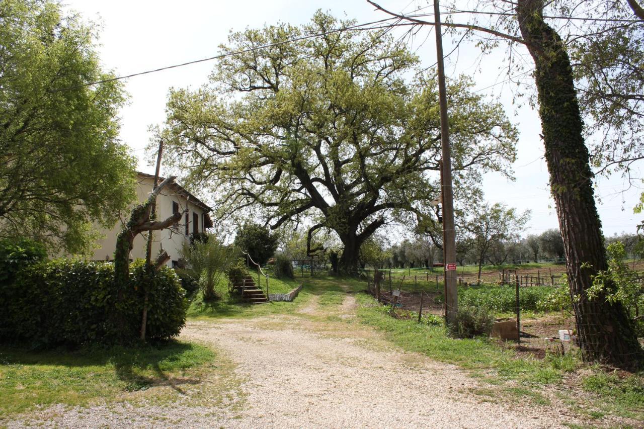 Agriturismo Il Capannone Vendégház Montemerano Kültér fotó