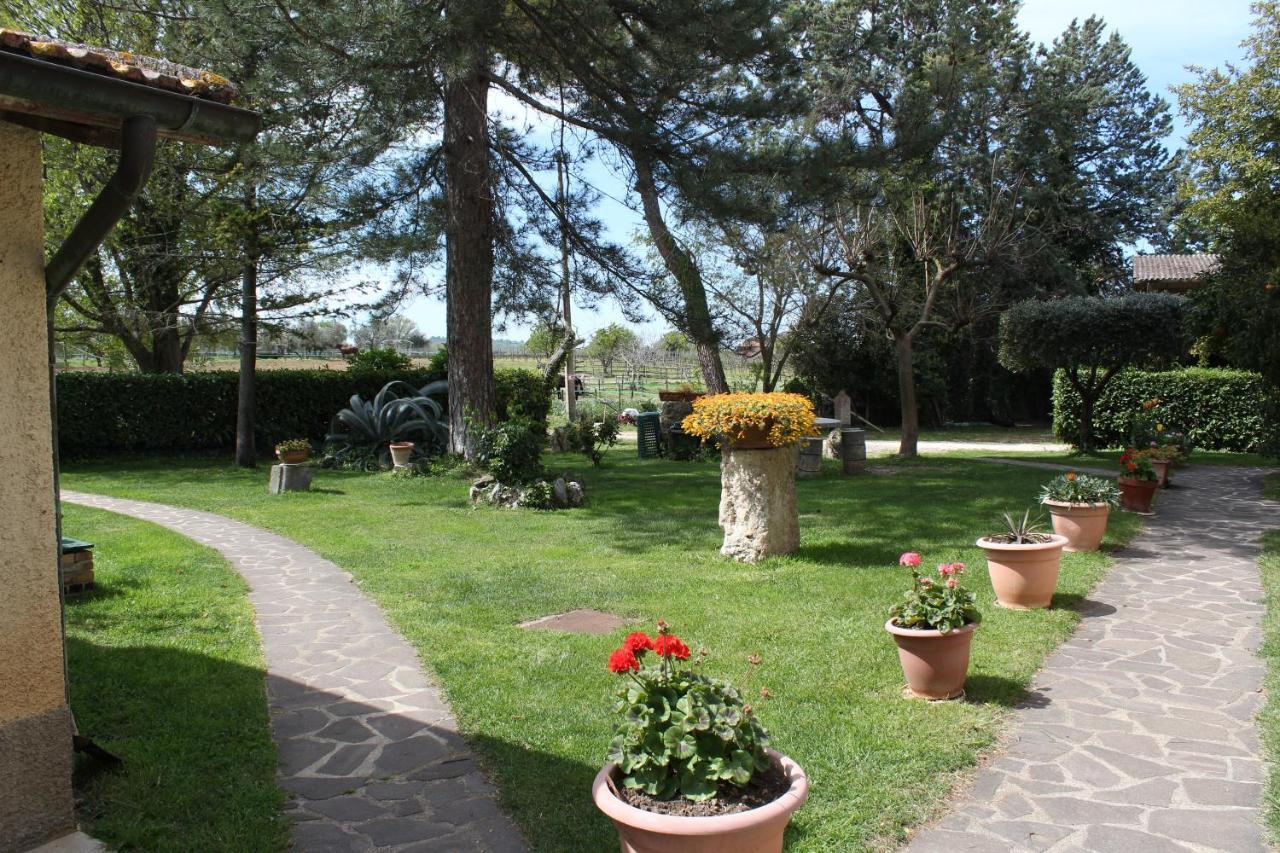 Agriturismo Il Capannone Montemerano Kültér fotó