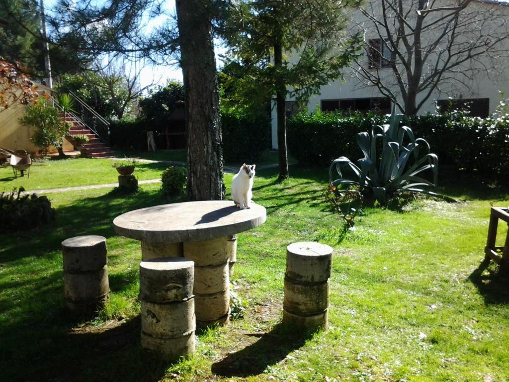 Agriturismo Il Capannone Montemerano Kültér fotó